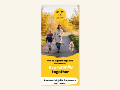 Dogs Trust's essential guide for children and dogs living happily together