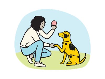 Illustration of a lady holding up a red ball to her yellow and black spotted dog doing the pall command