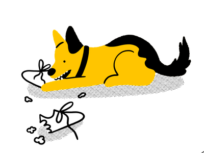 Destructive behaviour in dogs: how to stop it