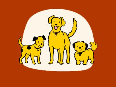 Illustration of three yellow dogs smiling against a colourful background