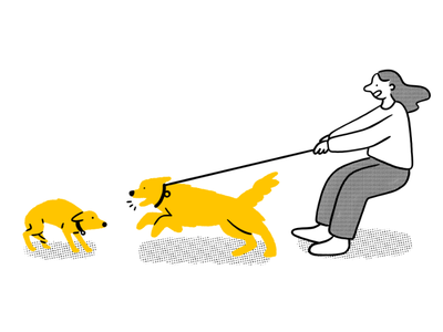 Reactive dogs: why it happens and how to help