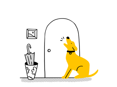 Separation anxiety in dogs: signs, causes and how to help