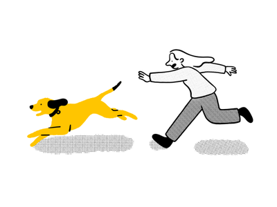 How to stop your dog chasing cars, bikes and animals