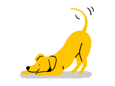 Helping a hyper or restless dog to calm down