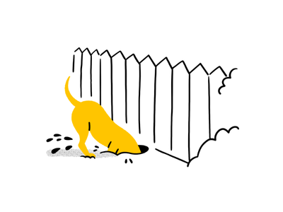 How to stop your dog escaping or running away