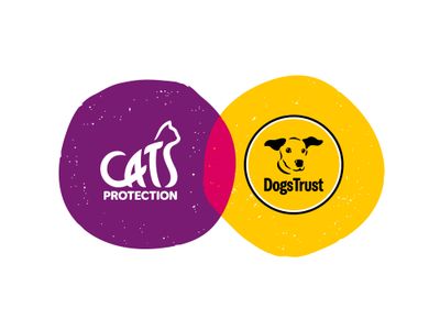 Fighting like cats and dogs? We’re calling a truce.