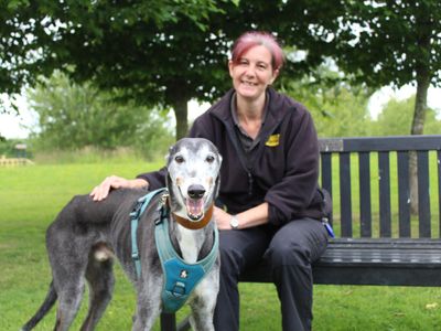 Billy | Greyhound | Shrewsbury (Shropshire) - 2