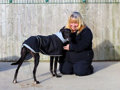 Mandy | Lurcher | Manchester - 3
