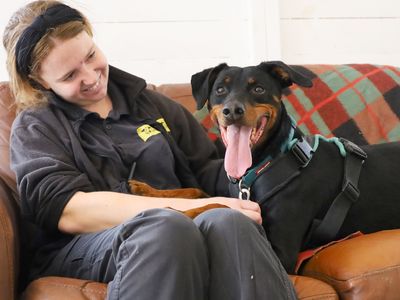 Jupiter | Dobermann | Leeds - 4