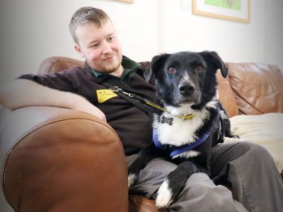 Mac | Collie (Border) Cross | Leeds - 2
