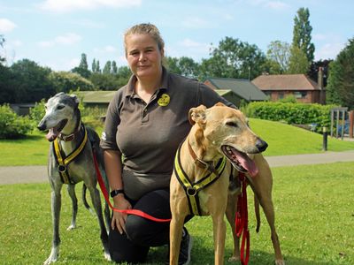 Mouse | Greyhound | Merseyside (Liverpool) - 2