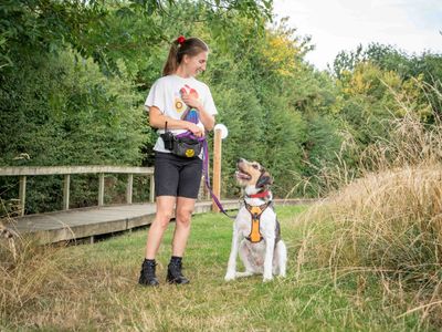 Oscar | Halden Hound Cross | Loughborough - 2