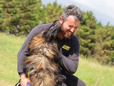 Ragnor | German Shepherd Dog | Leeds - 5