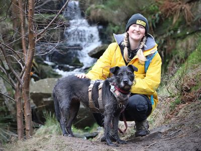 Brontë | Crossbreed | Leeds - 2