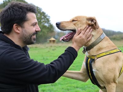 Nuche | Lurcher Cross | Leeds - 2