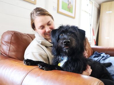 Bobby | Belgian Shepherd Dog (Malinois) Cross | Leeds - 2