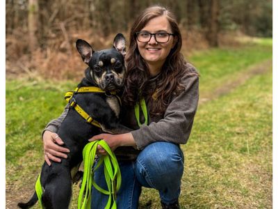 Rocky | French Bulldog Cross | Snetterton (Norfolk) - 3