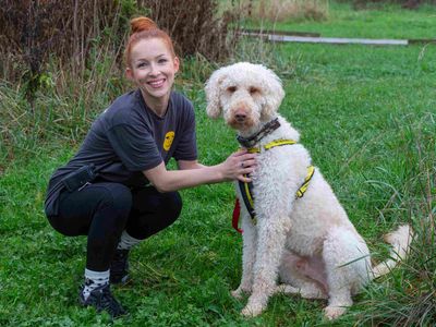 Charlie | Retriever (Labrador) Cross | Loughborough - 5