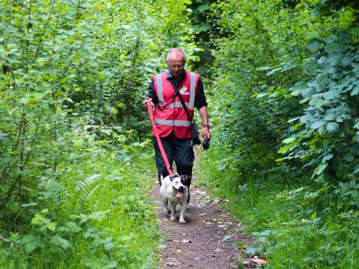 Remi | Terrier (Staffordshire Bull) Cross | Manchester - 5