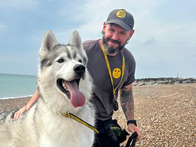 Jack, a 6 years old male Siberian Husky available for adoption from Dogs Trust in Shoreham, Sussex