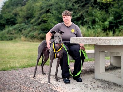 Wonder | Greyhound | Cardiff - 5
