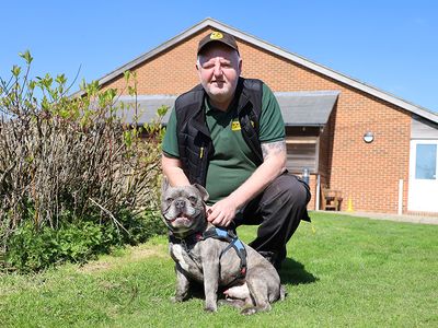 Ronnie | French Bulldog | Leeds - 2