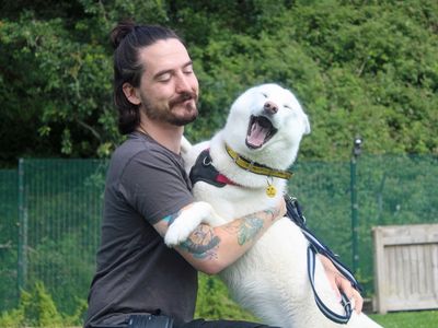 Luna | Siberian Husky | Merseyside (Liverpool) - 1