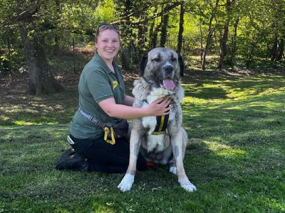 Leyla | Turkish Kangal Dog | Canterbury - 2