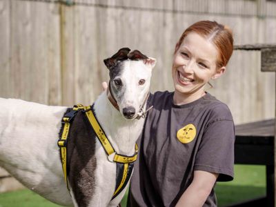 Ethel | Greyhound | Loughborough - 1