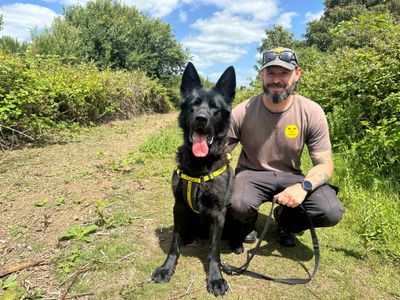Bagheera | German Shepherd Dog | Shoreham (Sussex) - 2