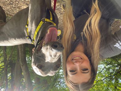 Lando Longlegs | Greyhound | West Calder (Edinburgh) - 5