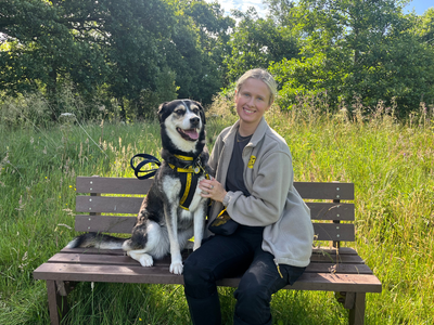 Freya | Siberian Husky Cross | West Calder (Edinburgh) - 3