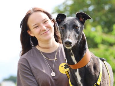 Brogan | Greyhound | Leeds - 3