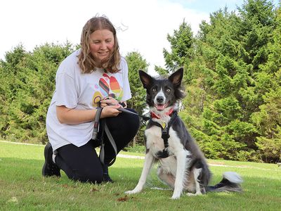 Libby | Collie (Border) Cross | Leeds - 2
