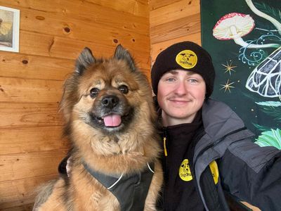Bear | Pomeranian Cross | West Calder (Edinburgh) - 3