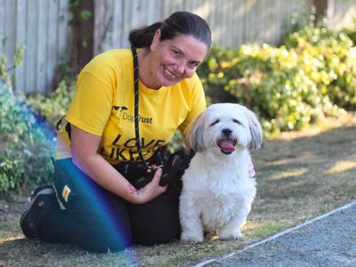 Olli | Lhasa Apso Cross | Manchester - 3