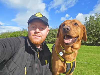Harris | Retriever (Labrador) | Dundee - 3