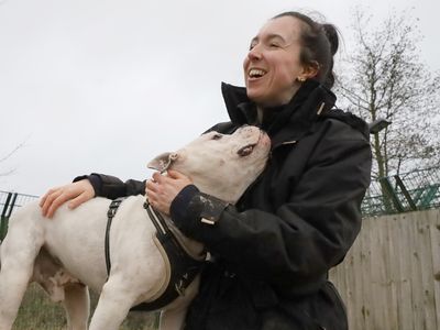 Polo | Bulldog Cross | Leeds - 5