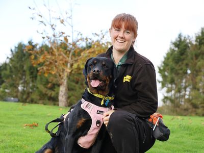 Roxie | Rottweiler | Leeds - 3