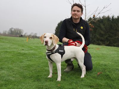 Max | Beagle Cross | Leeds - 2