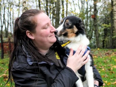 Cindy | Collie (Border) | Merseyside (Liverpool) - 3
