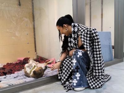 Jax | Terrier (Bull) Cross | Basildon (Essex) - 3