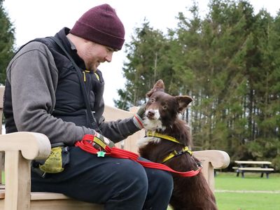 Cinnamon | Collie (Border) | Leeds - 3