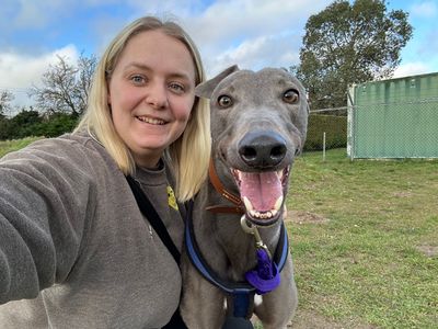 Dec | Greyhound | Snetterton (Norfolk) - 2