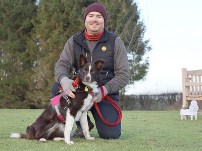 Cider | Collie (Border) Cross | Leeds - 3
