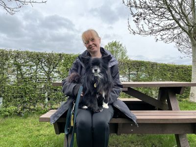 Potter | Pomeranian Cross | Loughborough - 3