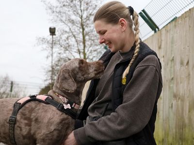 Nellie | Poodle (Miniature) Cross | Leeds - 2