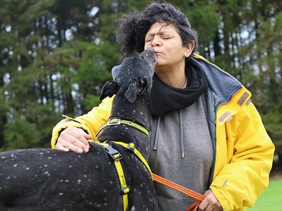 Herbie | Greyhound | Leeds - 3