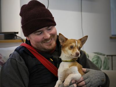 Gherkin | Chihuahua (Long Coat) Cross | Leeds - 3