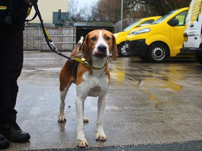 Icarus | Foxhound | Manchester - 5